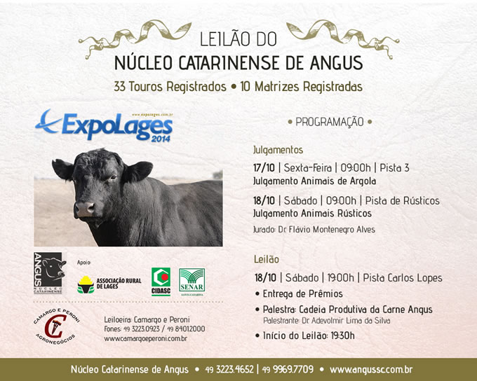 img-not-leilao-nucleo-catarinense-angus